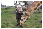 Giraffe animals fiberglass