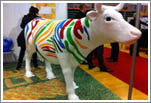 Cow individual project cow individual project