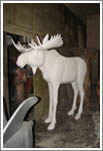 Big Moose, life-size fiberglass animals