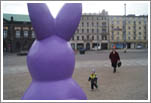 stary browar poznań, zające wielkanocne 2011, inwazja zajęcy