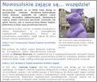 Nowosolskie zające są... wszędzie!